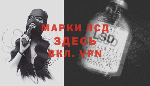 гашик Майский